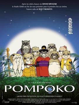国产精品三极片